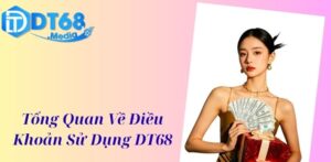 Tổng Quan Về Điều Khoản Sử Dụng DT68